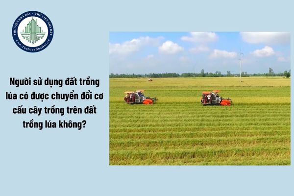 thuviennhadat.vn