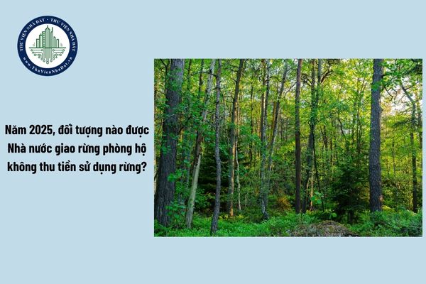 Năm 2025, đối tượng nào được Nhà nước giao rừng phòng hộ không thu tiền sử dụng rừng?