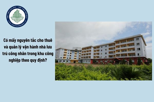 Năm 2025, Có mấy nguyên tắc cho thuê và quản lý vận hành nhà lưu trú công nhân trong khu công nghiệp theo quy định?