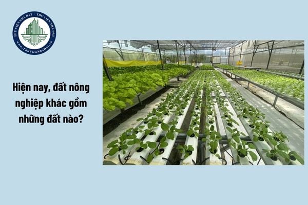 Hiện nay, đất nông nghiệp khác gồm những đất nào? Đất nông nghiệp không sử dụng bị thu hồi có được bồi thường đất không?