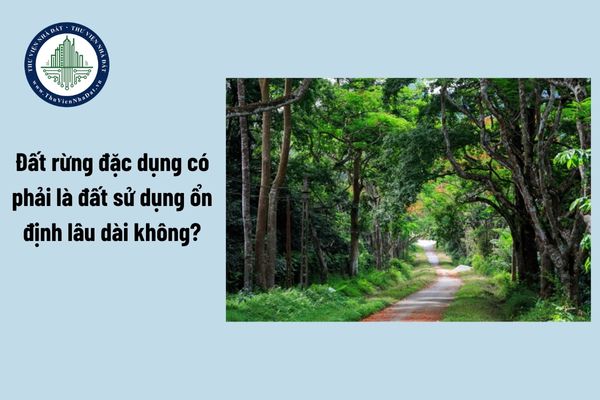Đất rừng đặc dụng có phải là đất sử dụng ổn định lâu dài không?