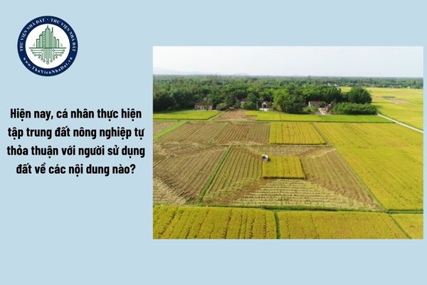 Hiện nay, cá nhân thực hiện tập trung đất nông nghiệp tự thỏa thuận với người sử dụng đất về các nội dung nào?