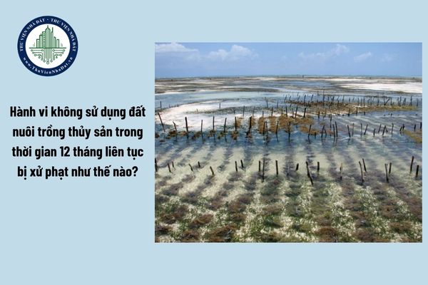 Hành vi không sử dụng đất nuôi trồng thủy sản trong thời gian 12 tháng liên tục bị xử phạt như thế nào?