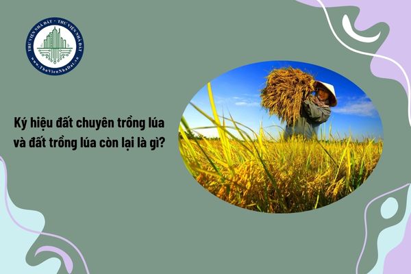 Ký hiệu đất chuyên trồng lúa và đất trồng lúa còn lại là gì?