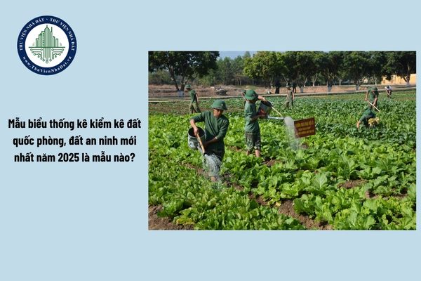 Mẫu biểu thống kê kiểm kê đất quốc phòng, đất an ninh mới nhất năm 2025 là mẫu nào?