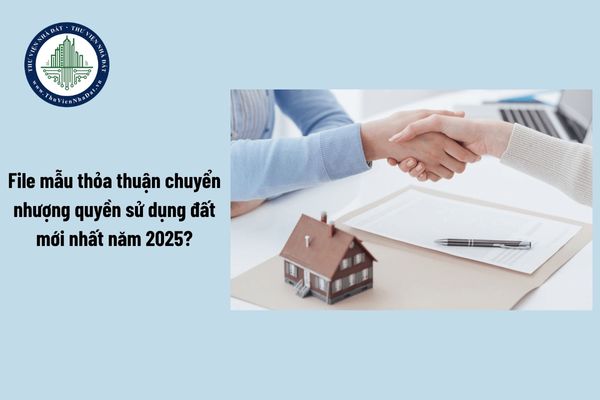 File mẫu thỏa thuận chuyển nhượng quyền sử dụng đất mới nhất năm 2025?
