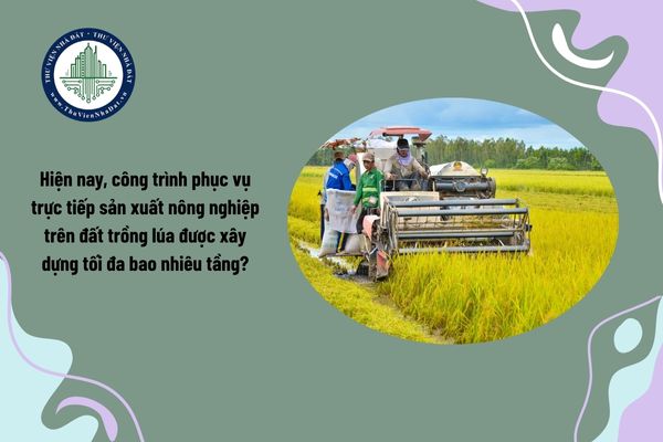 Hiện nay, công trình phục vụ trực tiếp sản xuất nông nghiệp trên đất trồng lúa được xây dựng tối đa bao nhiêu tầng?