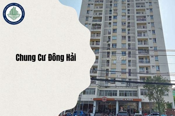 Chung cư Đông Hải Quận 12 cũ thuộc phường nào sau sáp nhập từ 1 7 2025?