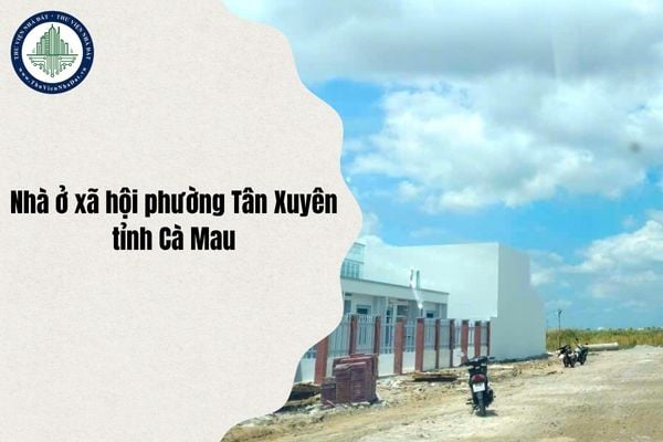 Địa chỉ Nhà ở xã hội phường Tân Xuyên (Cà Mau) thuộc phường nào sau sáp nhập từ 1/7/2025?