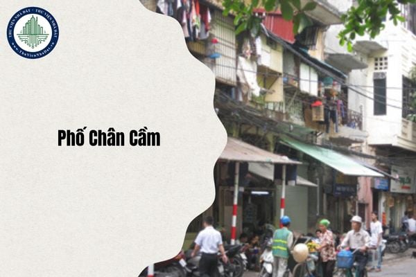 Địa chỉ Phố Chân Cầm thuộc phường nào Hà Nội sau sáp nhập từ ngày 1/7/2025?