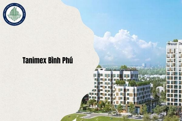 Địa chỉ Tanimex Bình Phú thuộc phường nào sau sáp nhập đơn vị hành chính từ 1/7/2025?