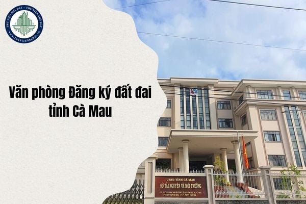 Địa chỉ mới Văn phòng Đăng ký đất đai tỉnh Cà Mau thuộc phường nào sau sáp nhập từ ngày 1/7/2025?