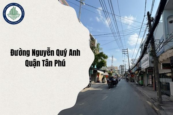Đường Nguyễn Quý Anh Quận Tân Phú đổi thành phường gì sau sáp nhập từ 1/7/2025?