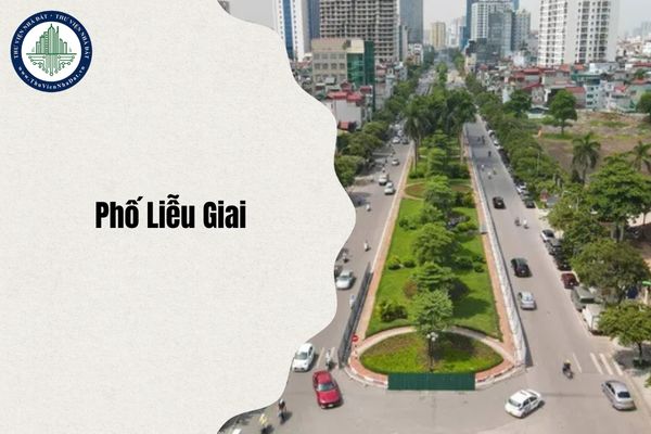 Phố Liễu Giai thuộc phường nào sau sáp nhập từ 1 7 2025?