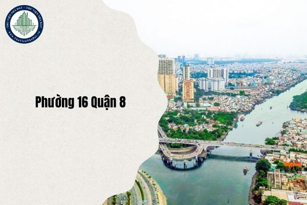 Phường 16 Quận 8 sau sáp nhập thành phường gì từ 1 7 2025?