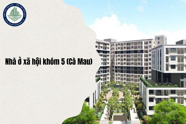 Số lượng Nhà ở xã hội khóm 5 (Cà Mau) để bán và cho thuê là bao nhiêu?