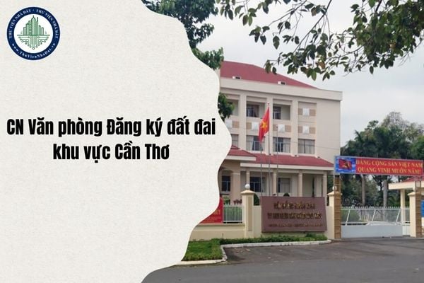 Tổng hợp địa chỉ 28 Chi nhánh Văn phòng Đăng ký đất đai khu vực Cần Thơ sau sáp nhập từ ngày 1/7/2025?
