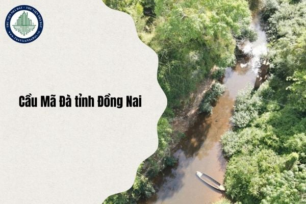 Tổng quan Dự án Đầu tư xây dựng cầu Mã Đà tỉnh Đồng Nai cập nhật chi tiết nhất 2025