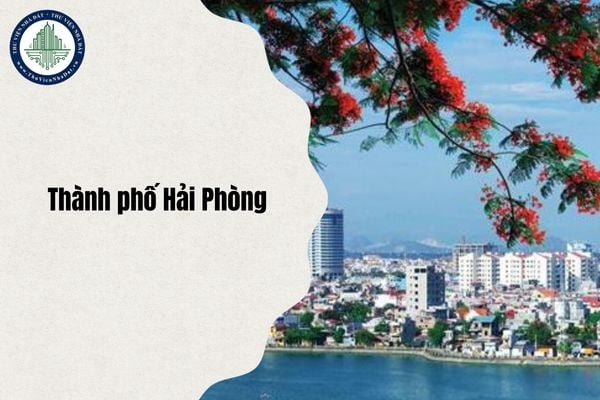 Các huyện ở Hải Phòng sau sáp nhập đổi thành xã phường gì từ ngày 1/7/2025?