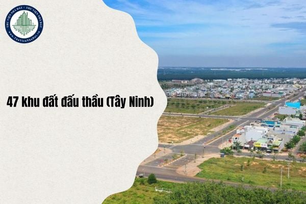 thuviennhadat.vn