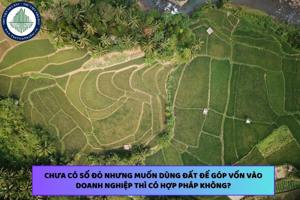 Chưa có sổ đỏ nhưng muốn dùng đất để góp vốn vào doanh nghiệp thì có hợp pháp không?