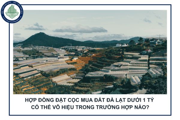 Hợp đồng đặt cọc mua đất Đà Lạt dưới 1 tỷ có thể vô hiệu trong trường hợp nào?
