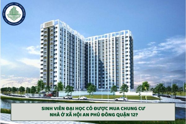 Sinh viên đại học có được mua chung cư nhà ở xã hội An Phú Đông Quận 12?