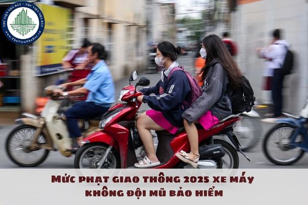 Không đội mũ bảo hiểm phạt bao nhiêu 2025 xe máy? Mức phạt giao thông 2025 xe máy không đội mũ bảo hiểm