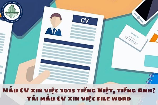 Mẫu CV xin việc 2025 tiếng Việt, tiếng Anh? Tải mẫu CV xin việc file word