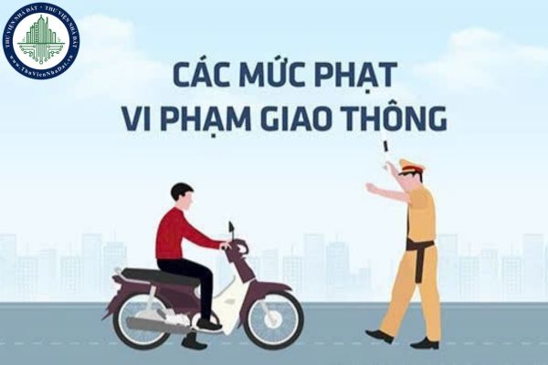 Mức xử phạt vi phạm giao thông 2025? Mức phạt vi phạm giao thông từ 1 1 2025 ra sao?