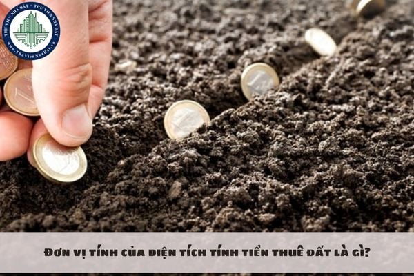 Đơn vị tính của diện tích tính tiền thuê đất là gì?