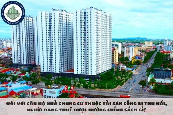 Đối với căn hộ nhà chung cư thuộc tài sản công bị thu hồi, người đang thuê được hưởng chính sách gì?