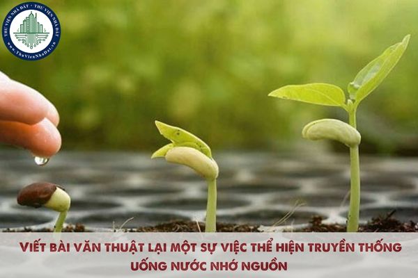 Mẫu văn thể hiện truyền thống uống nước nhớ nguồn? Viết bài văn thuật lại một sự việc thể hiện truyền thống uống nước nhớ nguồn