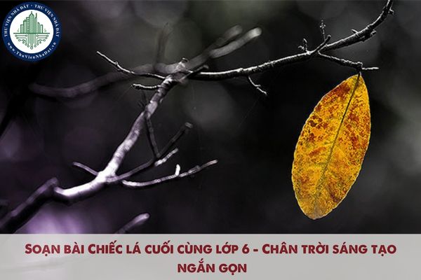 Soạn bài Chiếc lá cuối cùng lớp 6 - Chân trời sáng tạo ngắn gọn