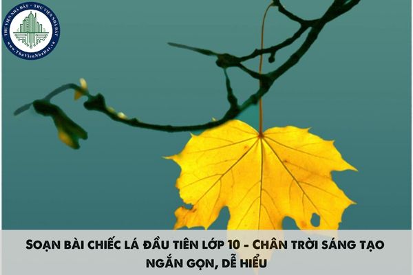 Soạn bài chiếc lá đầu tiên lớp 10 - Chân trời sáng tạo ngắn gọn, dễ hiểu