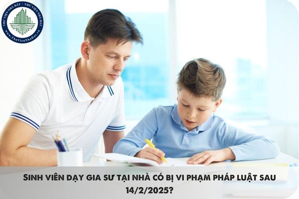 Sinh viên dạy gia sư tại nhà có bị vi phạm pháp luật sau 14/2/2025?