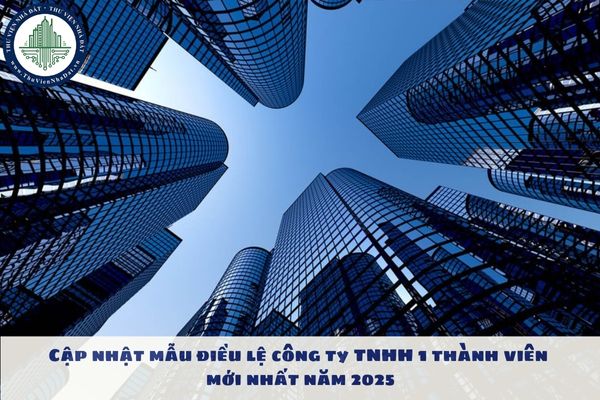 Cập nhật mẫu điều lệ công ty TNHH 1 thành viên mới nhất năm 2025