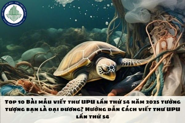 Top 10 Bài mẫu viết thư UPU lần thứ 54 năm 2025 tưởng tượng bạn là đại dương? Hướng dẫn Cách viết thư UPU lần thứ 54