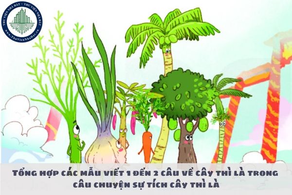 Tổng hợp các mẫu viết 1 đến 2 câu về cây thì là trong câu chuyện sự tích cây thì là