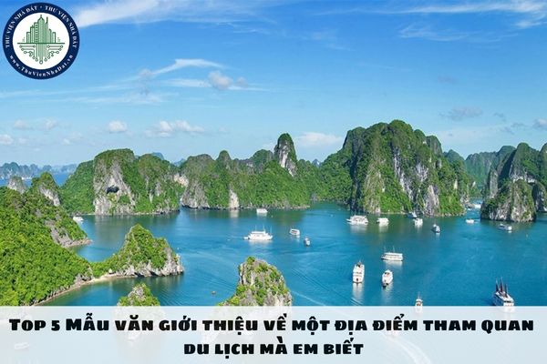 Top 5 Mẫu văn giới thiệu về một địa điểm tham quan du lịch mà em biết