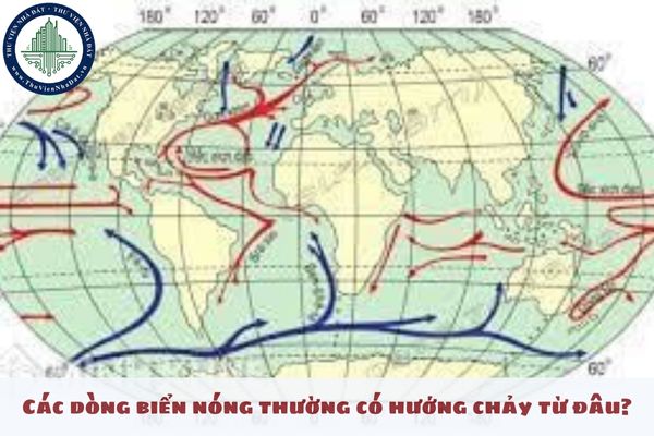 Các dòng biển nóng thường có hướng chảy từ đâu?