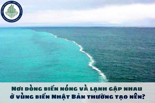 Nơi dòng biển nóng và lạnh gặp nhau ở vùng biển Nhật Bản thường tạo nên?