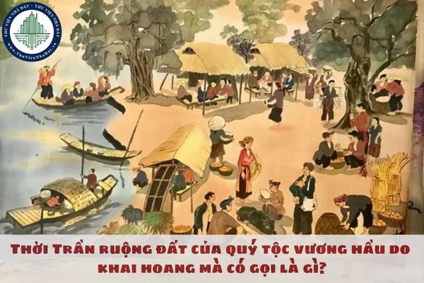 Thời Trần ruộng đất của quý tộc vương hầu do khai hoang mà có gọi là gì?