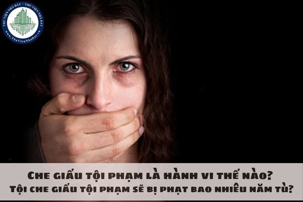 Che giấu tội phạm là hành vi thế nào? Tội che giấu tội phạm sẽ bị phạt bao nhiêu năm tù?