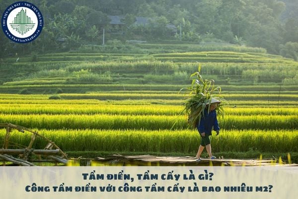 Tầm điền, tầm cấy là gì? Công tầm điền với công tầm cấy là bao nhiêu m2?