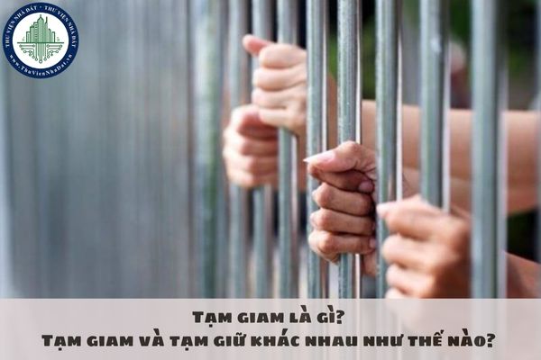 Tạm giam là gì?  Tạm giam và tạm giữ khác nhau như thế nào? Tạm giam bao lâu thì được bảo lãnh? 