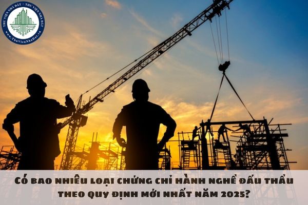 Có bao nhiêu loại chứng chỉ hành nghề đấu thầu theo quy định mới nhất năm 2025?