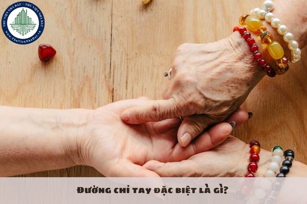 Đường chỉ tay đặc biệt là gì? Người có đường chỉ tay đặc biệt có hành nghề môi giới bất động sản được không?