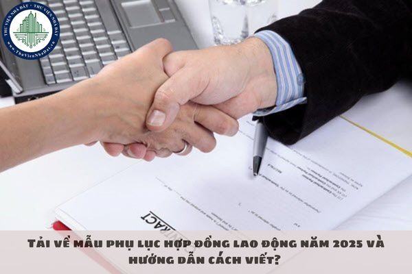 Tải về mẫu phụ lục hợp đồng lao động năm 2025 và hướng dẫn cách viết? 