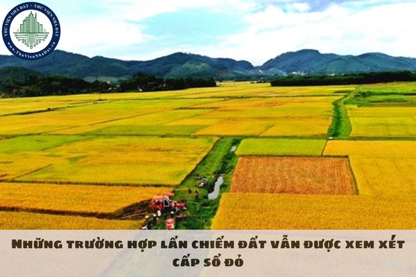 Những trường hợp lấn chiếm đất vẫn được xem xét cấp sổ đỏ
